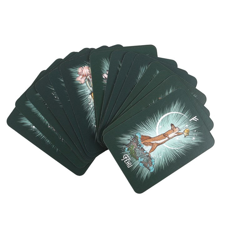 The Witch’s Familiar Runic Oracle – 24-Card Animal Spirit Deck & Guidebook by Athene Noctua