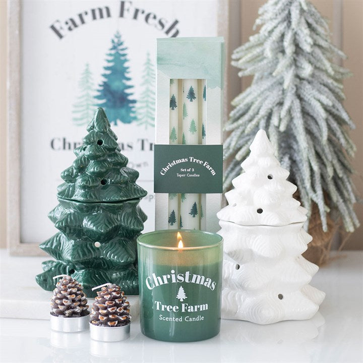 Winter Solstice Blessing Candle Trio – 3 White Fir Tree Tapers
