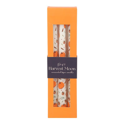 Set of 3 Pumpkin Taper Candles – Autumn Harvest Candlesticks for Seasonal Home Décor