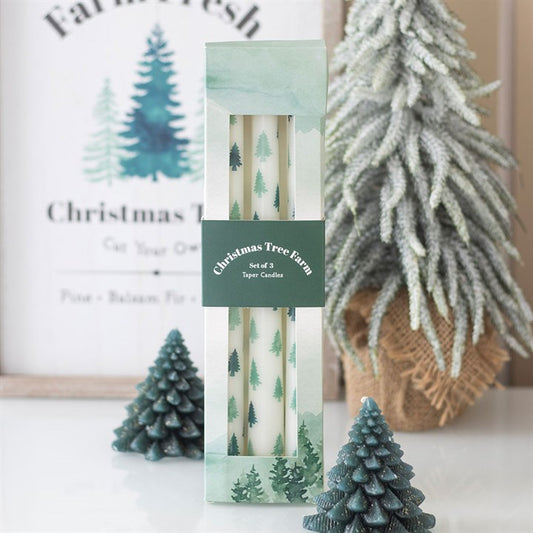 Winter Solstice Blessing Candle Trio – 3 White Fir Tree Tapers
