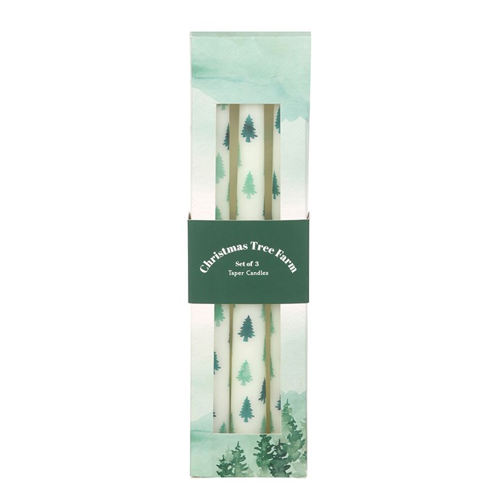 Winter Solstice Blessing Candle Trio – 3 White Fir Tree Tapers