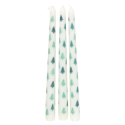 Winter Solstice Blessing Candle Trio – 3 White Fir Tree Tapers