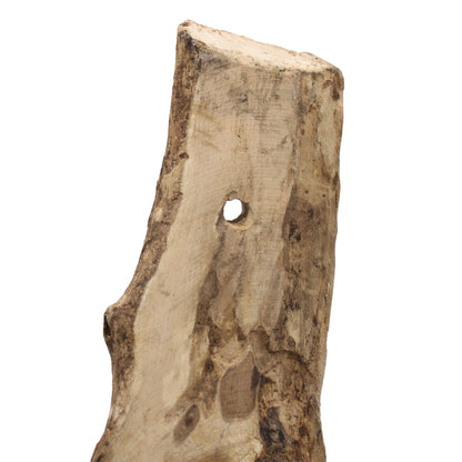 Molten Glass Hanging Bowl on Natural Wood – Handcrafted Art Piece