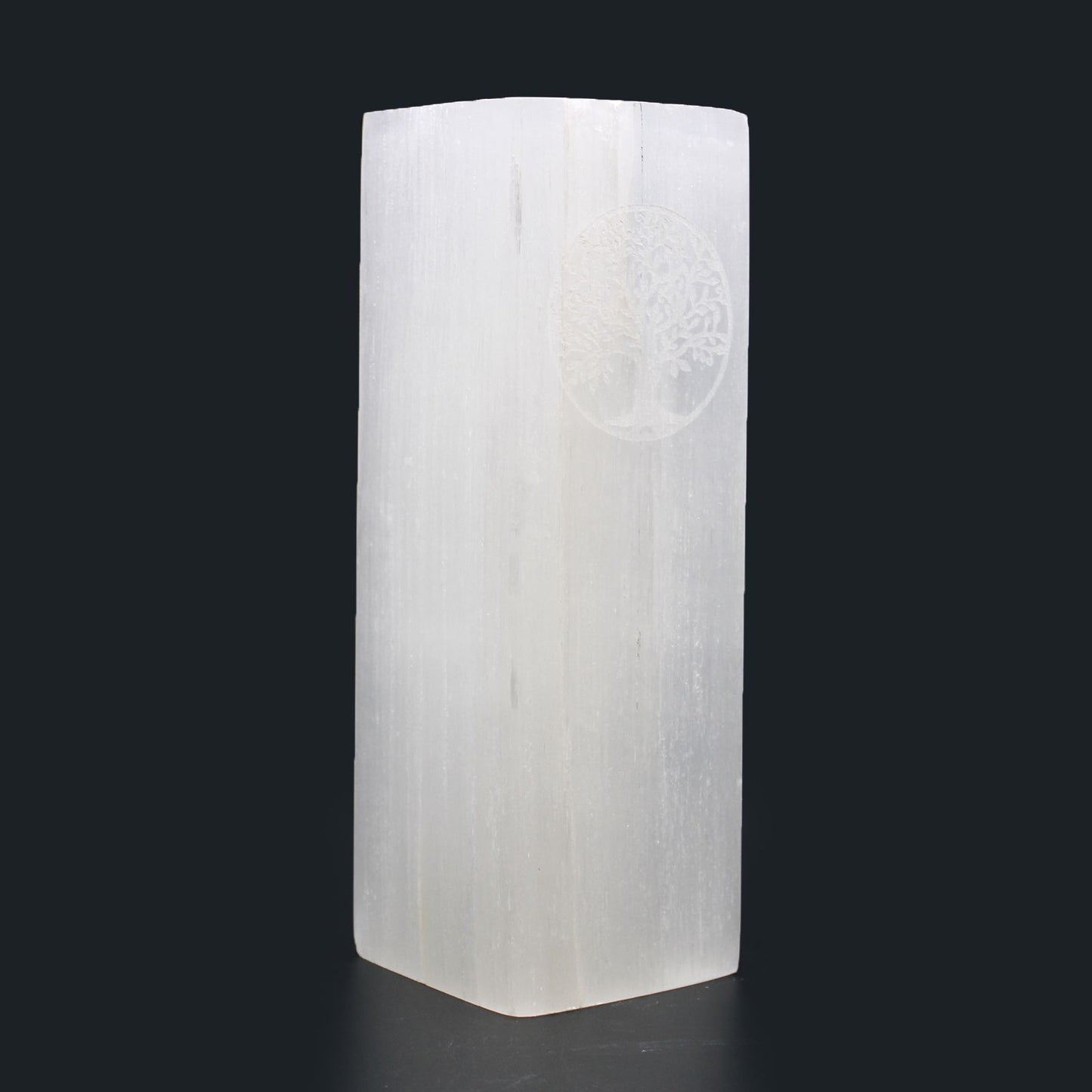 Selenite Tree of Life Lamp 25cm – Natural Crystal Light for Home & Spiritual Décor