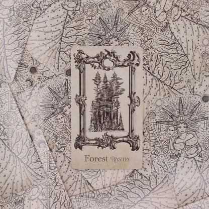 The Spellbook Oracle Cards – Witchcraft Divination Deck