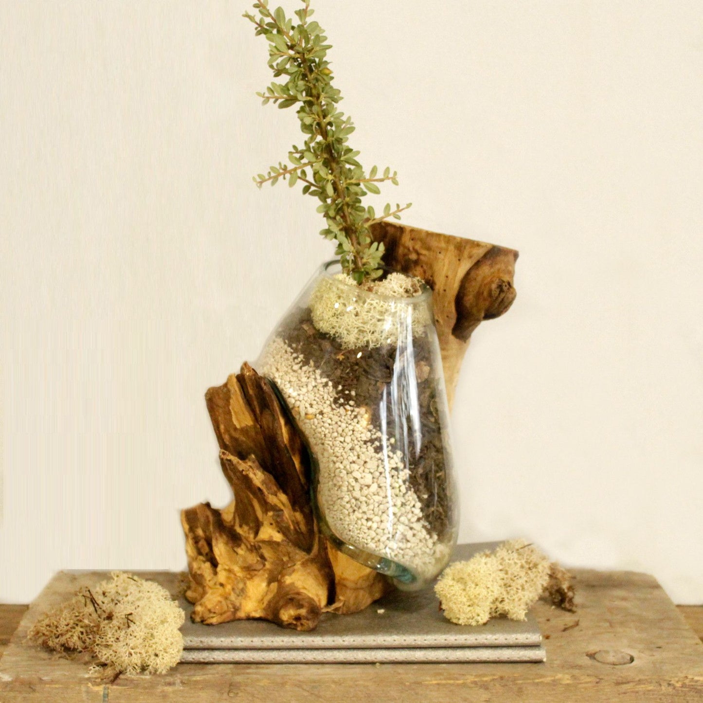 Molten Glass Hanging Bowl on Natural Wood – Handcrafted Art Piece