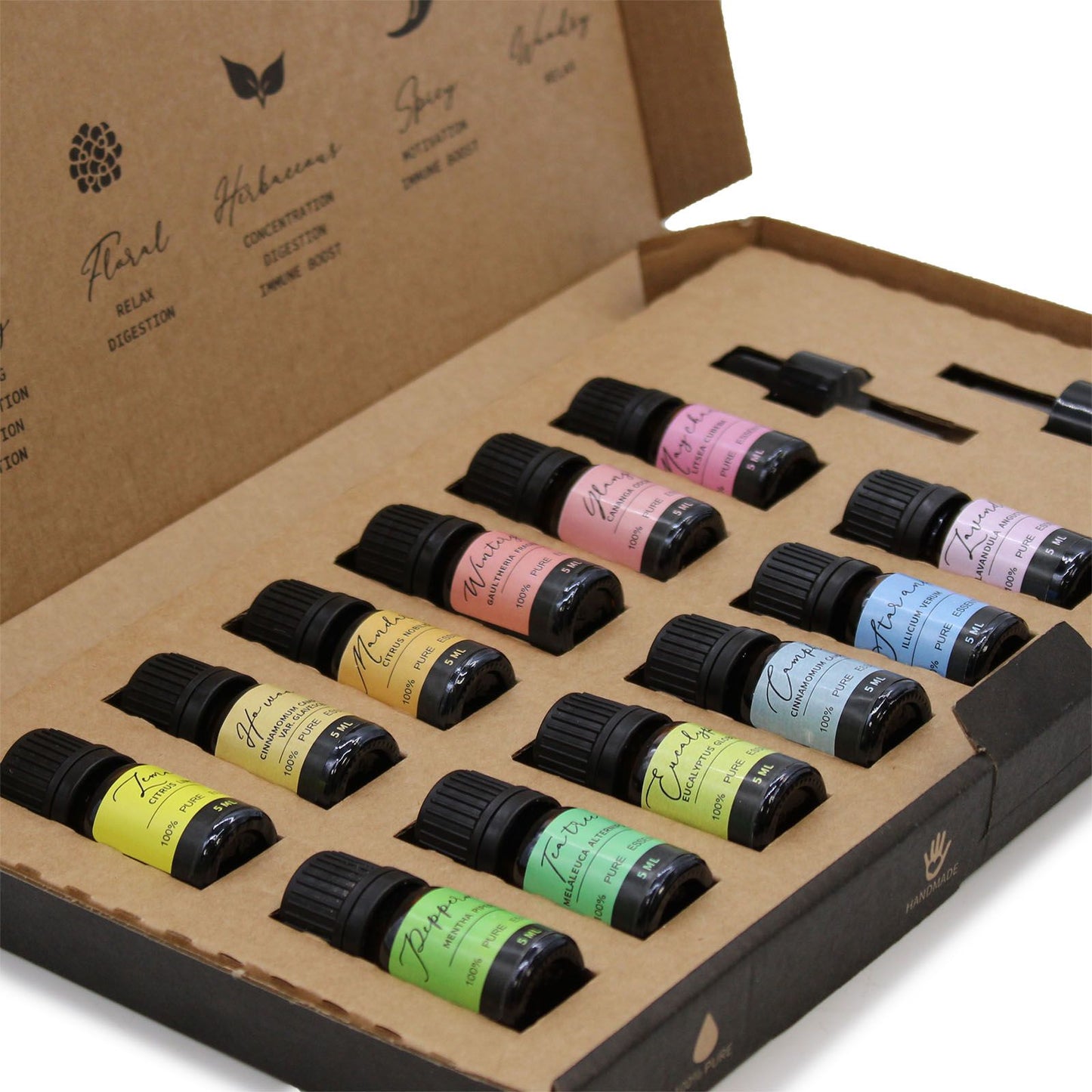 Aromatherapy Essential Oil Gift Set – 12 x 5ml 100% Pure Vegan Oils with Droppers (Home & Mind Balance)