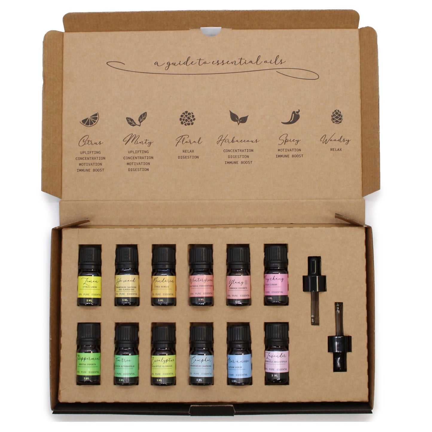 Aromatherapy Essential Oil Gift Set – 12 x 5ml 100% Pure Vegan Oils with Droppers (Home & Mind Balance)