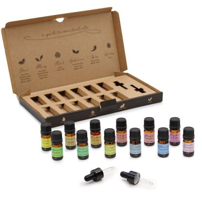 Aromatherapy Essential Oil Gift Set – 12 x 5ml 100% Pure Vegan Oils with Droppers (Home & Mind Balance)