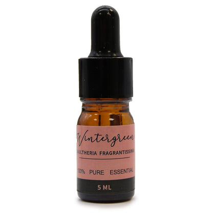 Aromatherapy Essential Oil Gift Set – 12 x 5ml 100% Pure Vegan Oils with Droppers (Home & Mind Balance)